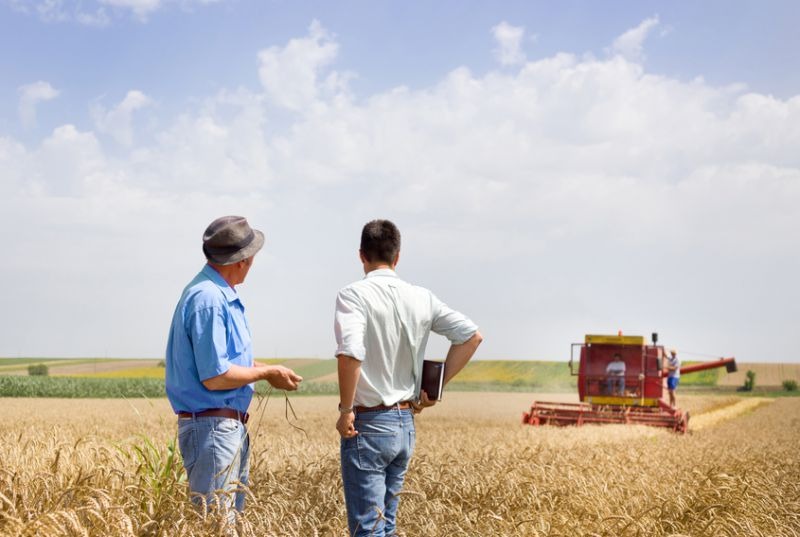 Lee más sobre el artículo Empresas familiares en el Agro