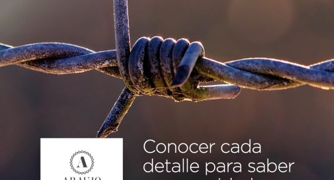 WhatsApp Image 2022-01-04 at 11.18.03